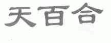 天百合