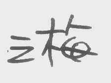 三梅
