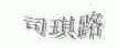 司琪路