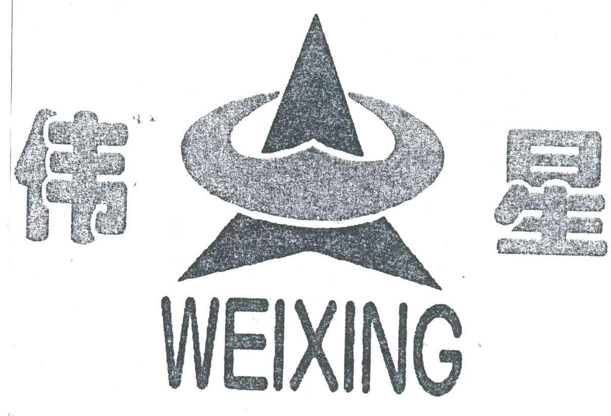 伟星;WEI XING