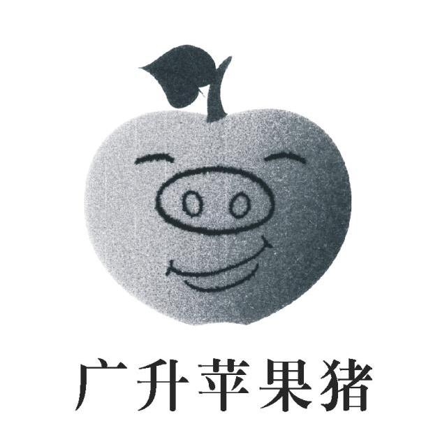 广升苹果猪