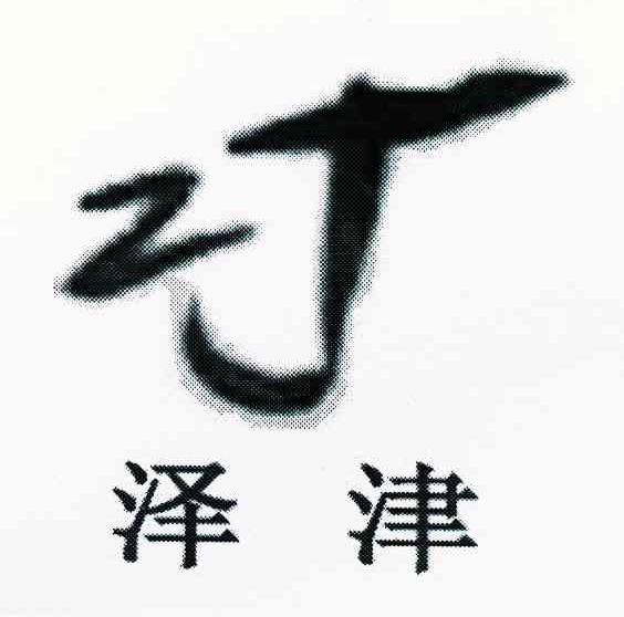 泽津 ZJ