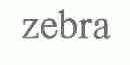 ZEBRA