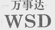 万事达 WSD