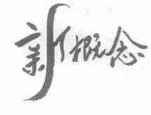 新概念