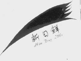 新日鲜   NEW DAY LITTLE