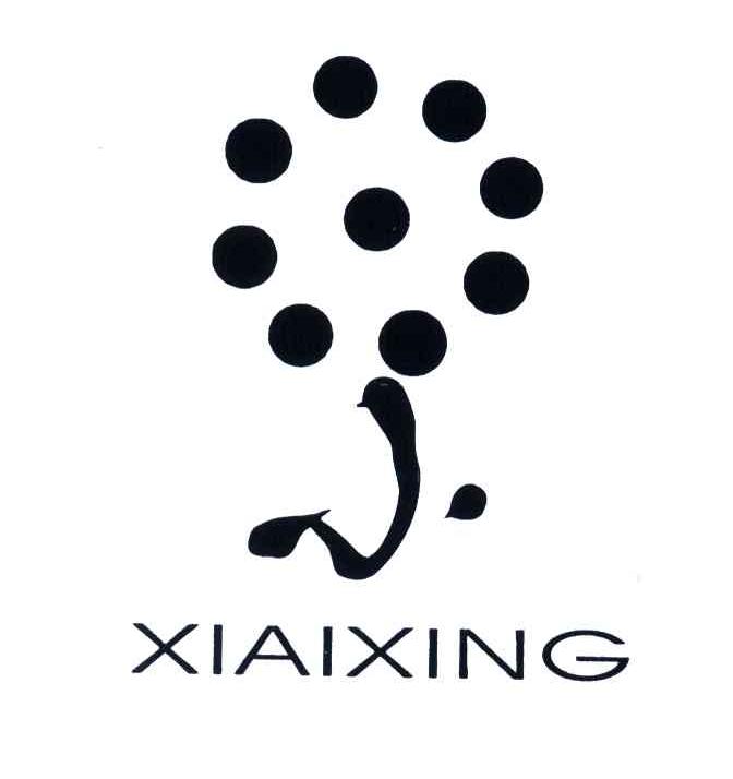 小;XIAIXING