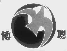 博聪