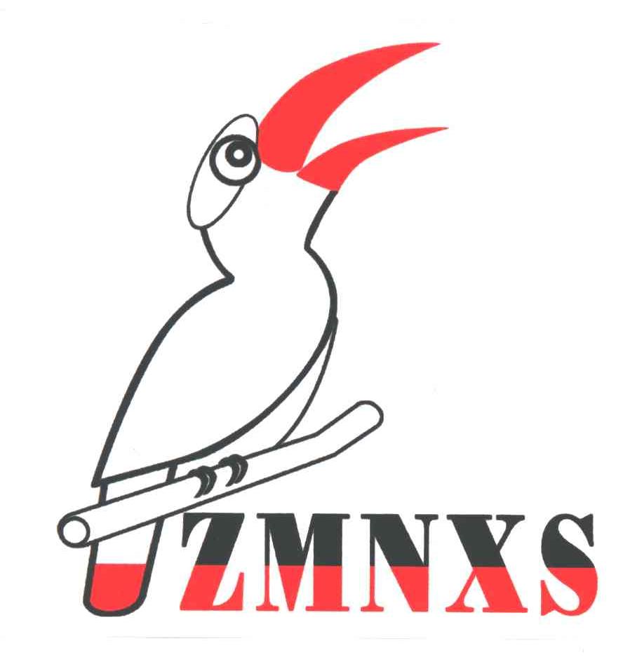 ZMNXS