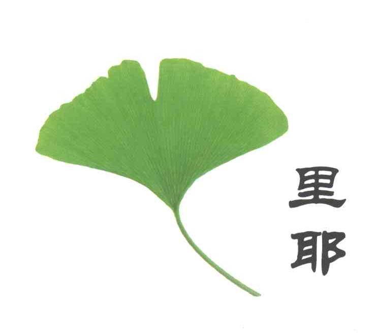 里耶