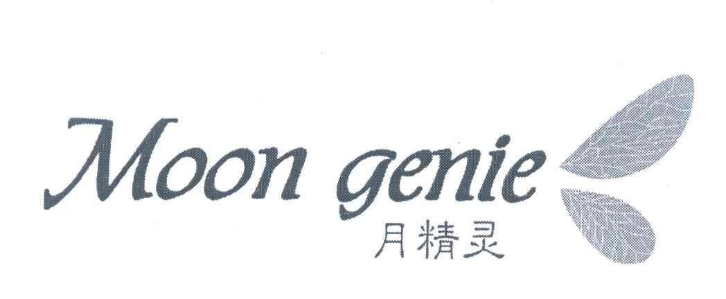 月精灵;MOON GENIE