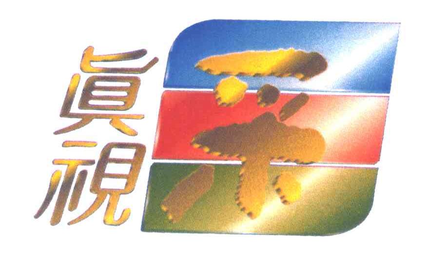 真视