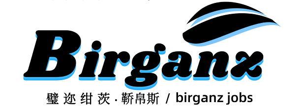璧迩绀茨&middot;鞒帛斯 BIRGANZ BIRGANZ JOBS