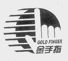 金手指   GOLD FINGER