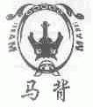 马背