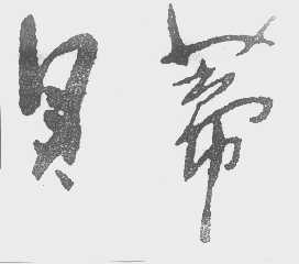 贝蒂