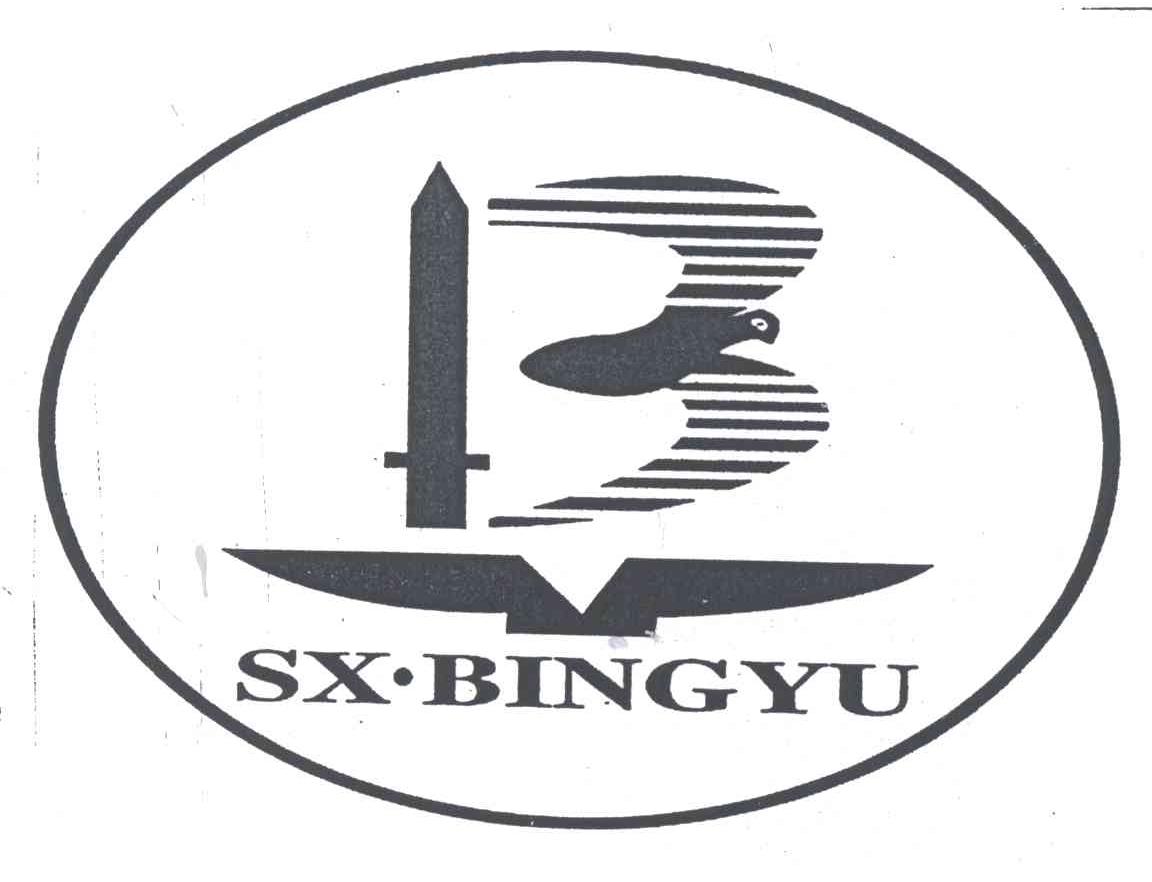 B;SX BINGYU