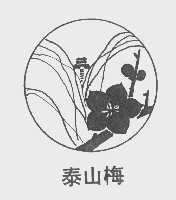 泰山梅