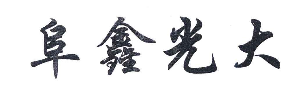 阜鑫光大
