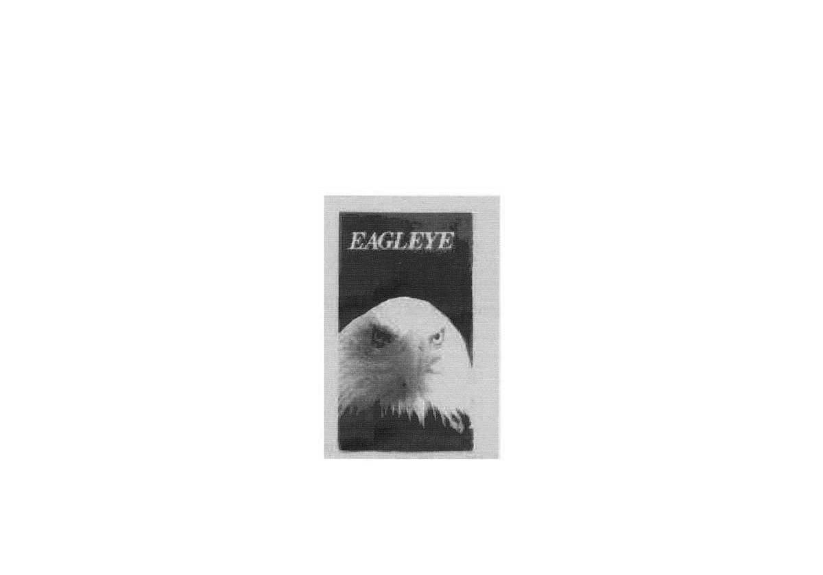 EAGLEYE