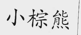 小棕熊