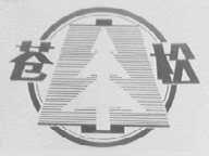 苍松