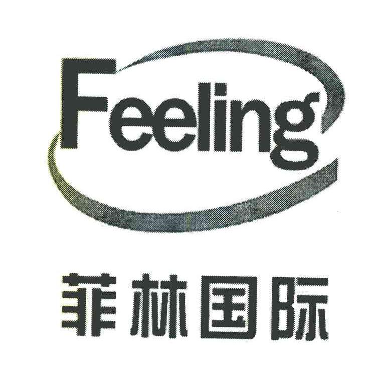 菲林国际 FEELING