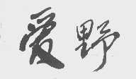 爱野