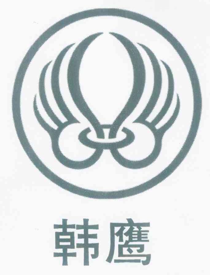 韩鹰