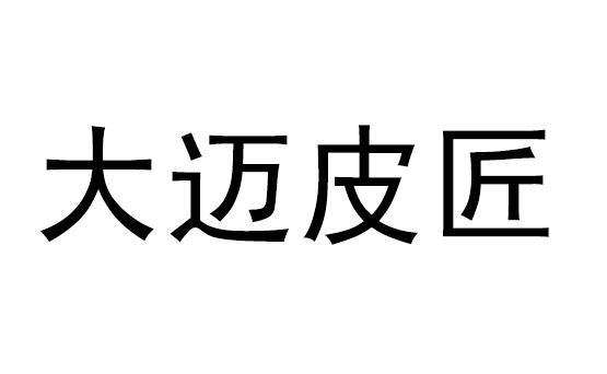 大迈皮匠