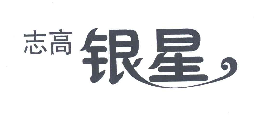 志高银星