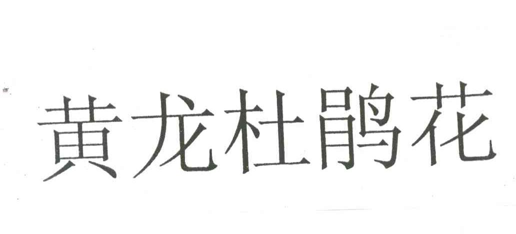 黄龙杜鹃花