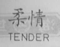 TENDER    柔情
