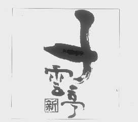 新子云亭   子云新亭
