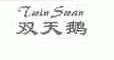 双天鹅;TWIN SWAN