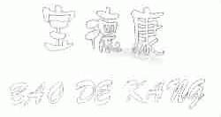 宝德康