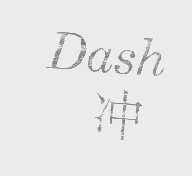 冲   DASH