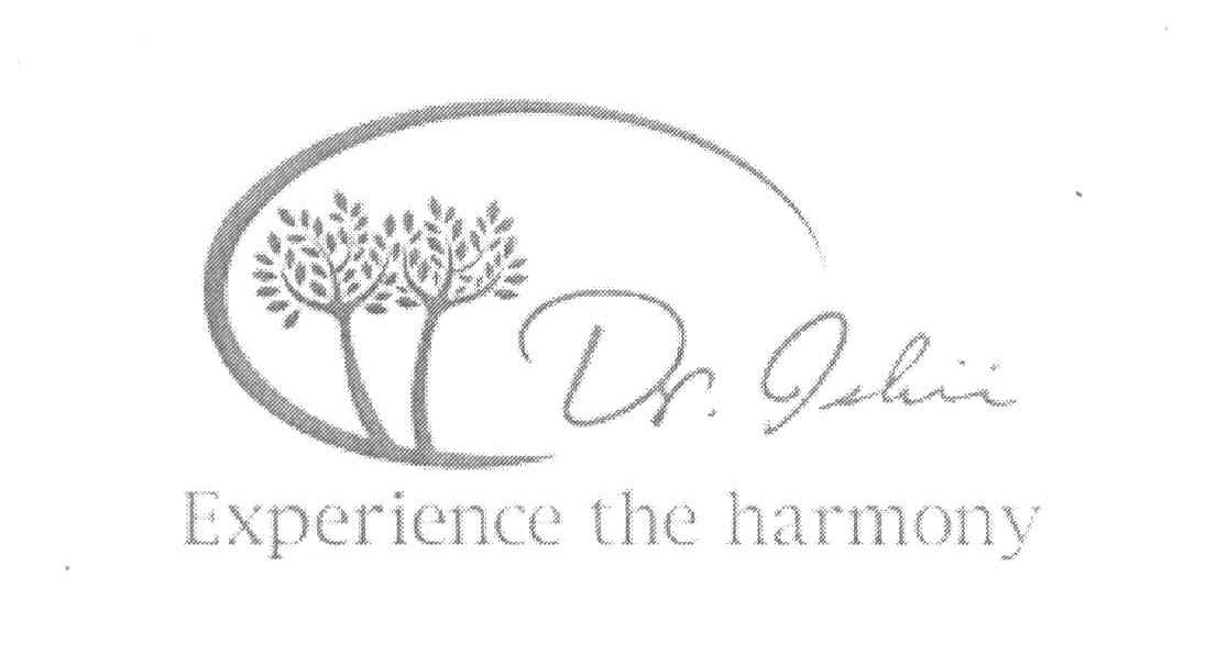 DR.ISHII EXPERIENCE THE HARMONY