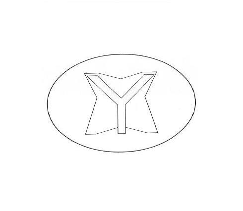 Y
