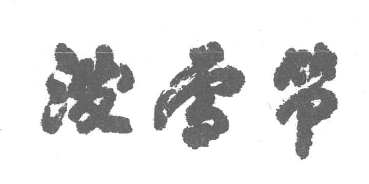 泼雪节