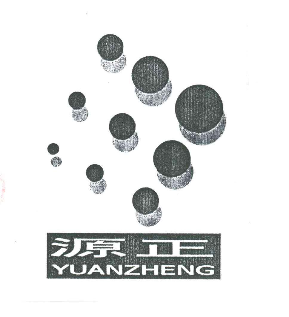 源正