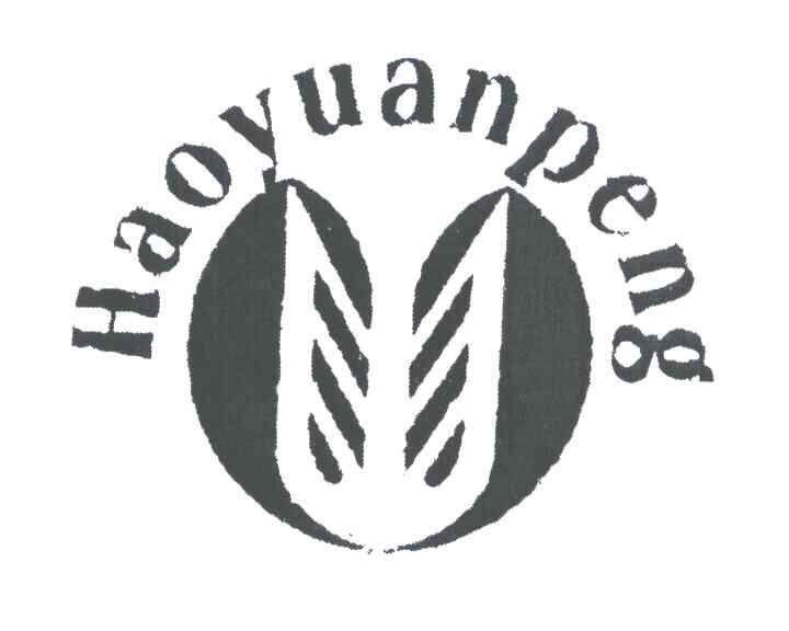 HAOYUANPENG