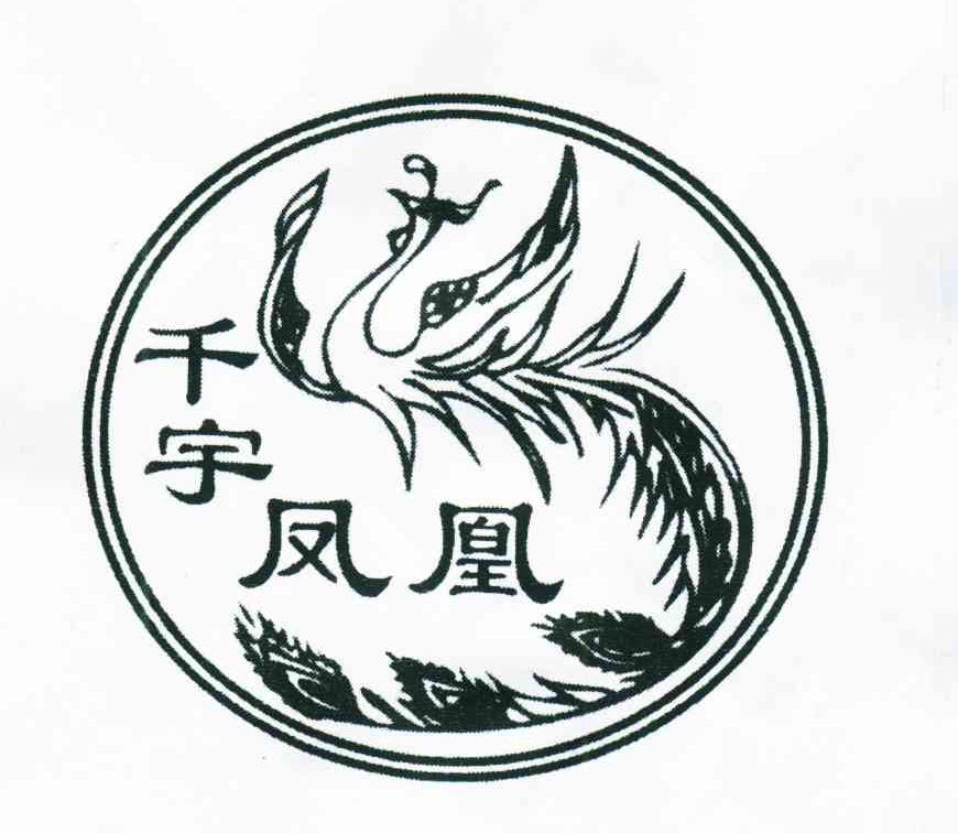 千宇凤凰