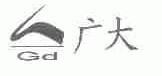 广大
