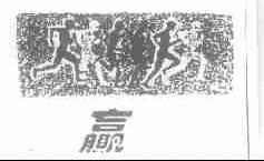 赢