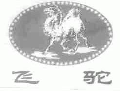 飞驼