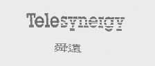TELESYNERGY   舜远