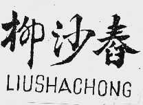 柳沙舂
