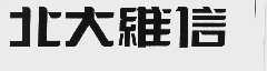 北大维信