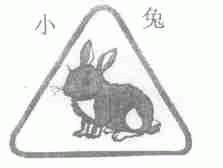 小兔